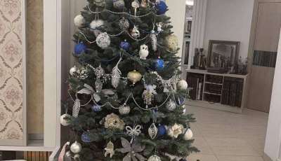 Новорічна ялинка в Novyi Prostir!