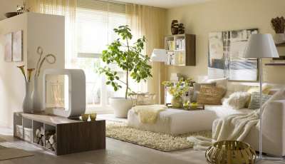 Екостиль в інтер'єрі квартири